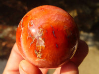 Polished Carnelian Agate Spheres  x 6 From Madagascar