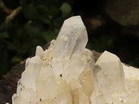 Natural Hematoid Tinted Quartz Clusters  x 2 From Madagascar - TopRock