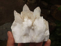 Natural Hematoid Tinted Quartz Clusters  x 2 From Madagascar - TopRock