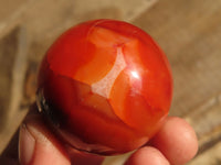 Polished Carnelian Agate Spheres  x 6 From Madagascar