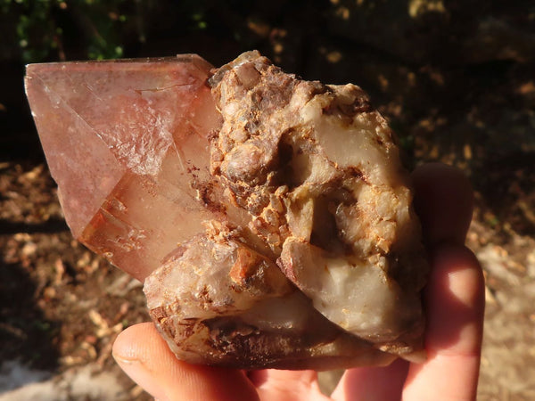 Natural Red Hematoid  Phantom Quartz Specimens x 6 From Karoi, Zimbabwe