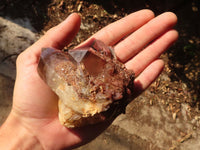 Natural Red Hematoid  Phantom Quartz Specimens x 6 From Karoi, Zimbabwe