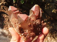 Natural Red Hematoid  Phantom Quartz Specimens x 6 From Karoi, Zimbabwe