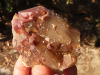 Natural Red Hematoid  Phantom Quartz Specimens x 6 From Karoi, Zimbabwe