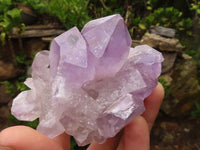 Natural Jacaranda Amethyst Crystal Specimens  x 6 From Mumbwa, Zambia - Toprock Gemstones and Minerals 