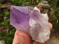 Natural Jacaranda Amethyst Crystal Specimens  x 6 From Mumbwa, Zambia - Toprock Gemstones and Minerals 