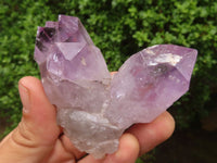 Natural Jacaranda Amethyst Crystal Specimens  x 6 From Mumbwa, Zambia - Toprock Gemstones and Minerals 