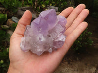 Natural Jacaranda Amethyst Crystal Specimens  x 6 From Mumbwa, Zambia - Toprock Gemstones and Minerals 