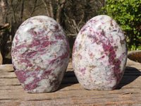 Polished Rubellite Pink Tourmaline Matrix Standing Free Forms x 2 From Madagascar