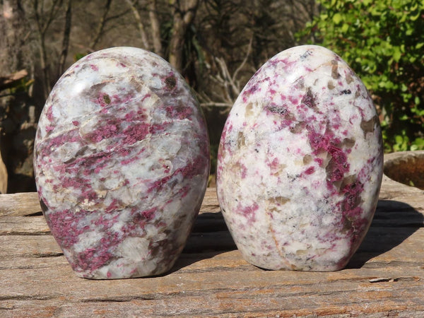 Polished Rubellite Pink Tourmaline Matrix Standing Free Forms x 2 From Madagascar