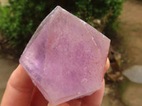 Natural Jacaranda Amethyst Crystal Specimens  x 6 From Mumbwa, Zambia - Toprock Gemstones and Minerals 