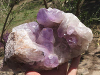 Natural Jacaranda Amethyst Clusters  x 2 From Mumbwa, Zambia - TopRock