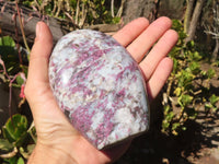 Polished Rubellite Pink Tourmaline Matrix Standing Free Forms x 2 From Madagascar