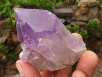 Natural Jacaranda Amethyst Crystal Specimens  x 6 From Mumbwa, Zambia - Toprock Gemstones and Minerals 