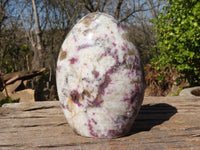 Polished Rubellite Pink Tourmaline Matrix Standing Free Forms x 2 From Madagascar