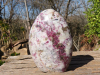 Polished Rubellite Pink Tourmaline Matrix Standing Free Forms x 2 From Madagascar