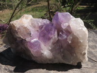 Natural Jacaranda Amethyst Clusters  x 2 From Mumbwa, Zambia - TopRock