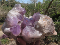 Natural Jacaranda Amethyst Clusters  x 2 From Mumbwa, Zambia - TopRock