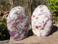 Polished Rubellite Pink Tourmaline Matrix Standing Free Forms x 2 From Madagascar