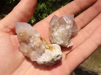 Natural Single Spirit Quartz Crystals  x 119 From Boekenhouthoek, South Africa - TopRock