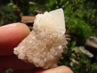 Natural Single Spirit Quartz Crystals  x 119 From Boekenhouthoek, South Africa - TopRock