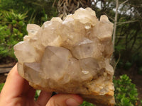 Natural Cascading White Phantom Smokey Quartz Clusters  x 2 From Luena, Congo - Toprock Gemstones and Minerals 