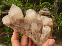 Natural Cascading White Phantom Smokey Quartz Clusters  x 2 From Luena, Congo - Toprock Gemstones and Minerals 