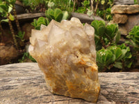 Natural Cascading White Phantom Smokey Quartz Clusters  x 2 From Luena, Congo - Toprock Gemstones and Minerals 