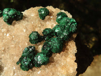 Natural Rare Ball Malachite On Drusy Quartz & Dolomite Matrix  x 2 From Kambove, Congo