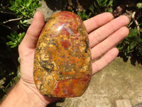 Polished Gorgeous Red Jasper Standing Free Forms  x 2 From Madagascar - TopRock