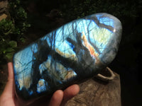 Polished Large Labradorite Standing Free Form With Intense Blue Flash  x 1 From Tulear, Madagascar - TopRock