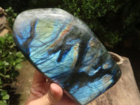 Polished Large Labradorite Standing Free Form With Intense Blue Flash  x 1 From Tulear, Madagascar - TopRock