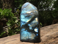 Polished Large Labradorite Standing Free Form With Intense Blue Flash  x 1 From Tulear, Madagascar - TopRock