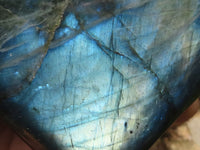 Polished Large Labradorite Standing Free Form With Intense Blue Flash  x 1 From Tulear, Madagascar - TopRock