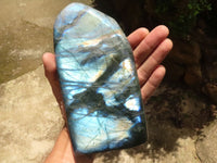 Polished Large Labradorite Standing Free Form With Intense Blue Flash  x 1 From Tulear, Madagascar - TopRock