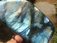 Polished Large Labradorite Standing Free Form With Intense Blue Flash  x 1 From Tulear, Madagascar - TopRock