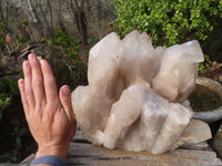 Natural Extra Large Quartz Cluster x 1 From Angola