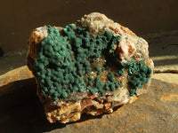 Natural Rare Ball Malachite On Drusy Quartz & Dolomite Matrix  x 1 From Kambove, Congo