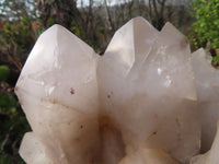 Natural Extra Large Quartz Cluster x 1 From Angola