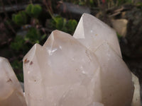 Natural Extra Large Quartz Cluster x 1 From Angola