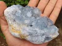 Natural Blue Celestite Crystal Specimens  x 3 From Sakoany, Madagascar - Toprock Gemstones and Minerals 