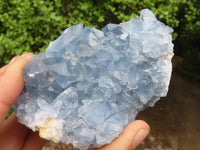 Natural Blue Celestite Crystal Specimens  x 3 From Sakoany, Madagascar - Toprock Gemstones and Minerals 