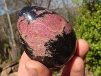 Polished Pink & Black Rhodonite Eggs x 6 From Madagascar