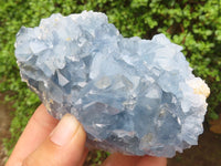 Natural Blue Celestite Crystal Specimens  x 3 From Sakoany, Madagascar - Toprock Gemstones and Minerals 