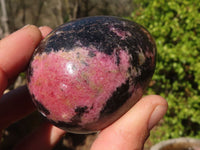 Polished Pink & Black Rhodonite Eggs x 6 From Madagascar