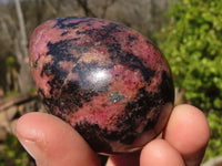 Polished Pink & Black Rhodonite Eggs x 6 From Madagascar