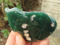 Polished One Side Polished Emerald Mtorolite Plates  x 12 From Zimbabwe