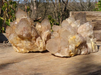 Natural Cascading Smokey Quartz Clusters x 2 From Luena, Congo