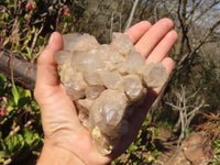 Natural Cascading Smokey Quartz Clusters x 2 From Luena, Congo