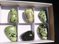 Polished Spotted Leopard Stone Standing Free Forms  x 6 From Zimbabwe - Toprock Gemstones and Minerals 